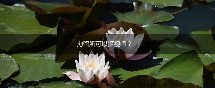 拘留所可以探视吗？,第1张