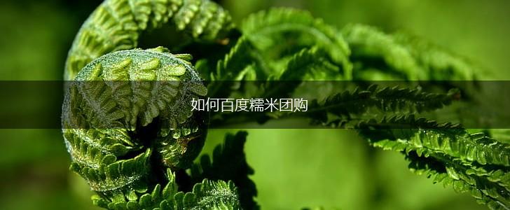 如何百度糯米团购,第1张