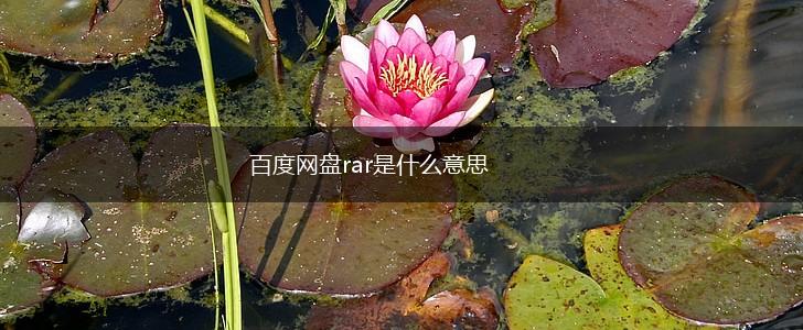百度网盘rar是什么意思,第1张