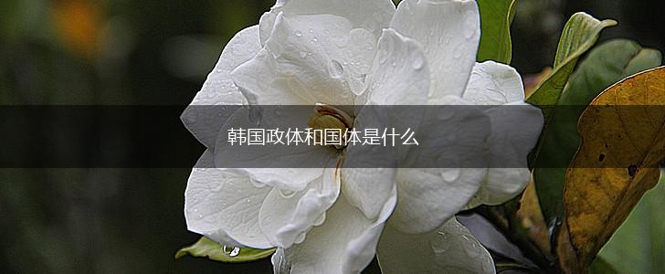 韩国政体和国体是什么,第1张