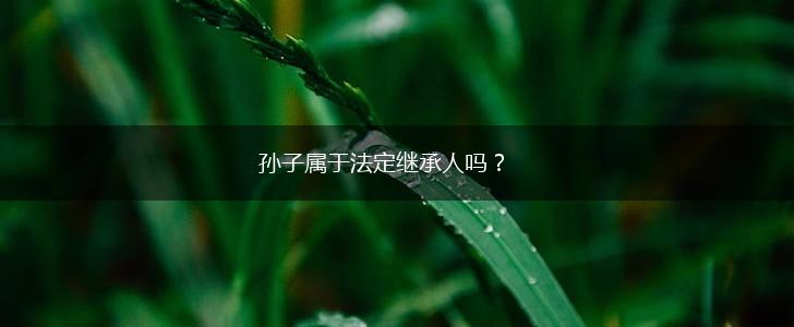 孙子属于法定继承人吗？,第1张