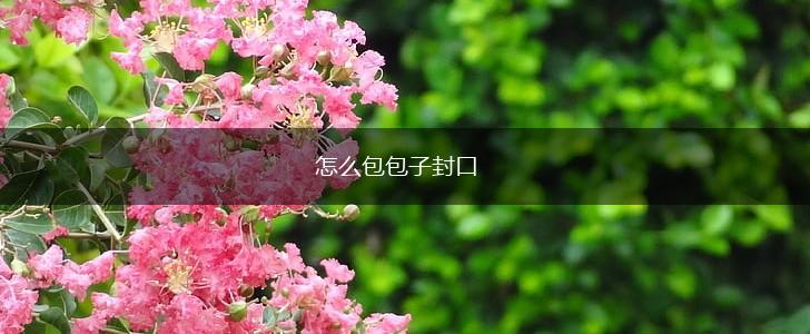 怎么包包子封口,第1张