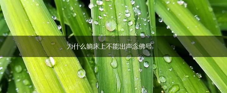 为什么躺床上不能出声念佛号,第1张