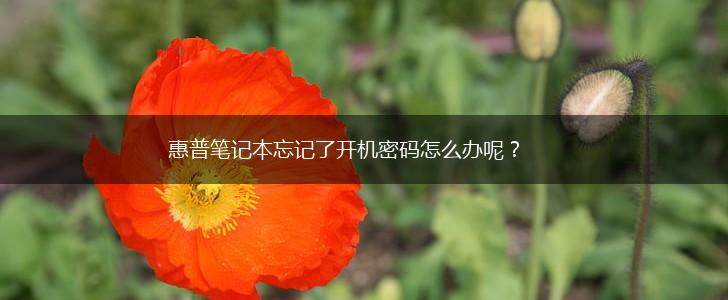惠普笔记本忘记了开机密码怎么办呢？,第1张