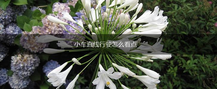 小车直线行驶怎么看点,第1张