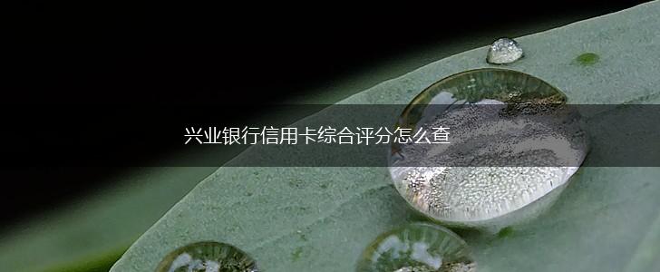 兴业银行信用卡综合评分怎么查,第1张