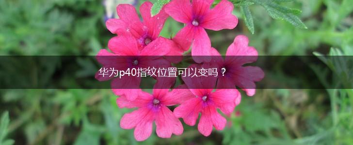 华为p40指纹位置可以变吗？,第1张