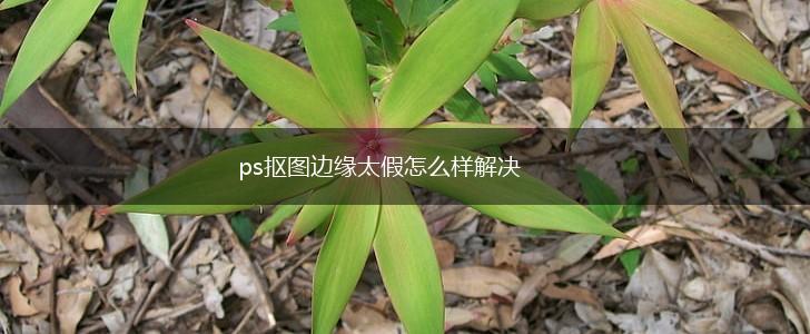 ps抠图边缘太假怎么样解决,第1张