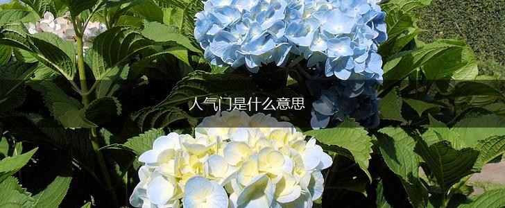 人气门是什么意思,第1张