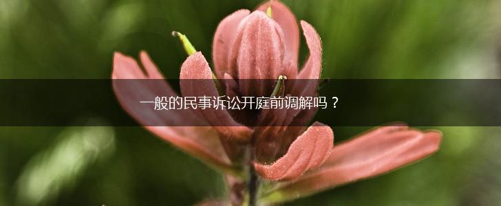 一般的民事诉讼开庭前调解吗？,第1张
