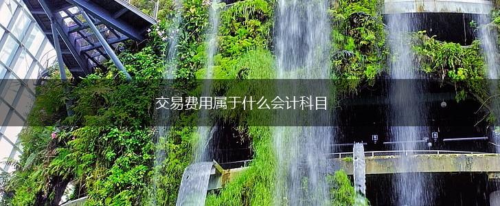 交易费用属于什么会计科目,第1张