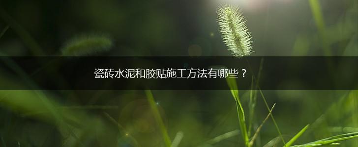 瓷砖水泥和胶贴施工方法有哪些？,第1张