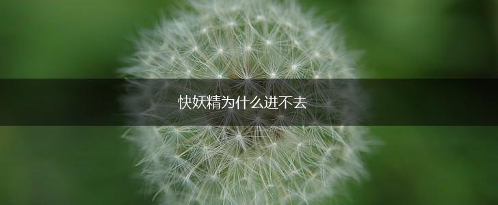 快妖精为什么进不去,第1张