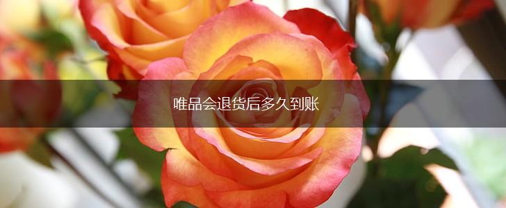 唯品会退货后多久到账,第1张