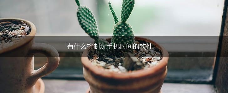 有什么控制玩手机时间的软件,第1张