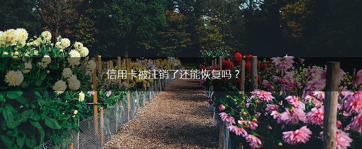 信用卡被注销了还能恢复吗？,第1张