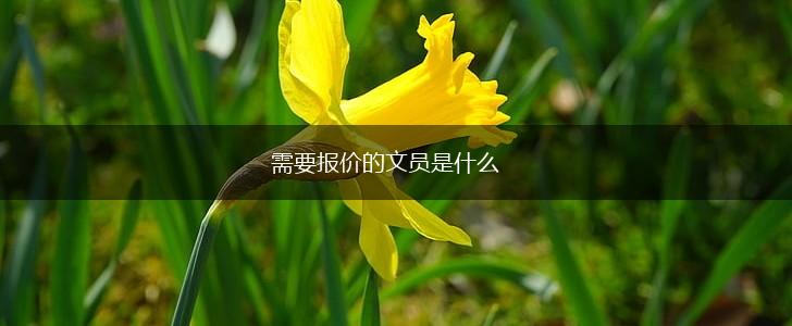 需要报价的文员是什么,第1张
