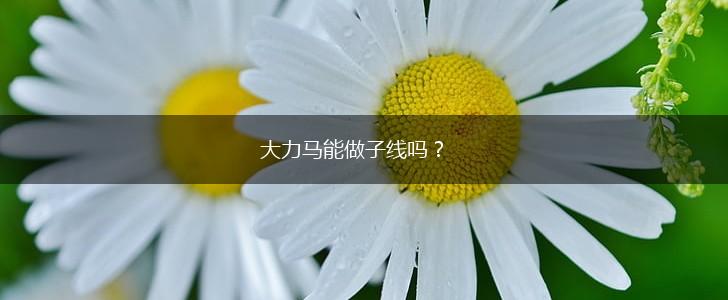 大力马能做子线吗？,第1张
