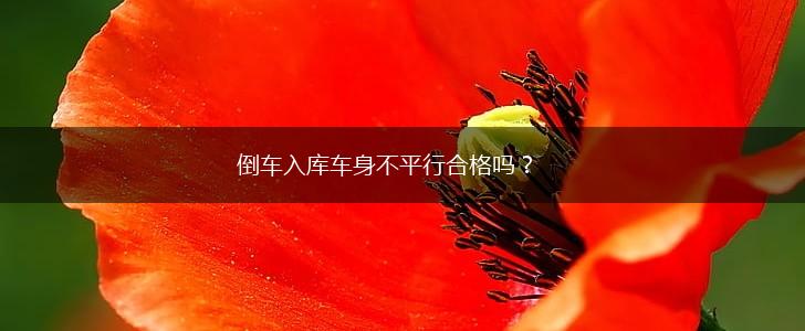 倒车入库车身不平行合格吗?,第1张 倒车入库车身不平行合格吗?,第1张