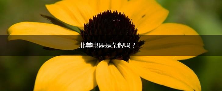 北美电器是杂牌吗？,第1张