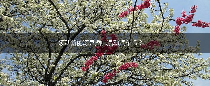 领动新能源是插电混动汽车吗？,第1张