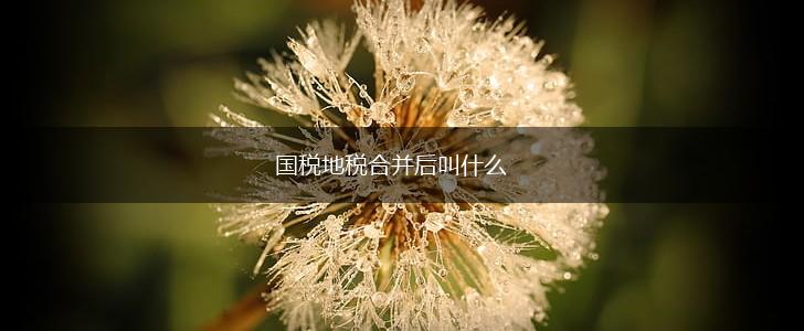 国税地税合并后叫什么,第1张