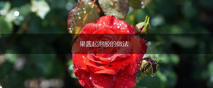 果酱起泡胶的做法,第1张