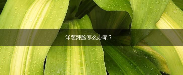 洋葱辣脸怎么办呢？,第1张