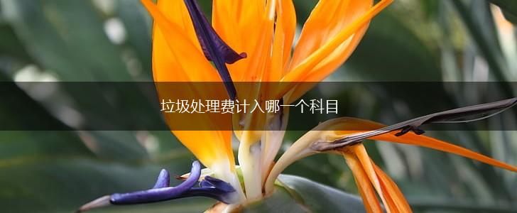 垃圾处理费计入哪一个科目,第1张