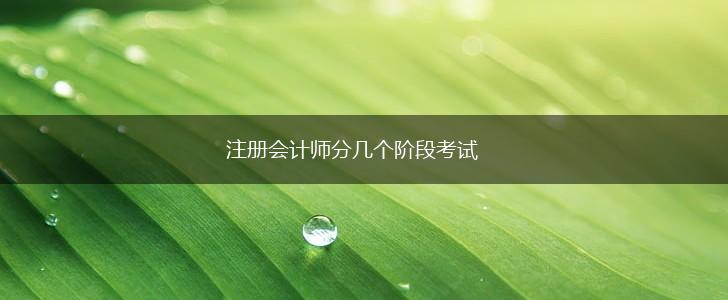 注册会计师分几个阶段考试,第1张