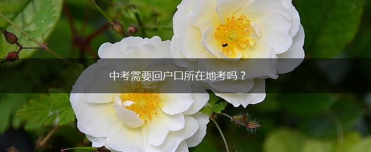 中考需要回户口所在地考吗？,第1张