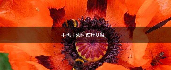 手机上如何使用U盘,第1张