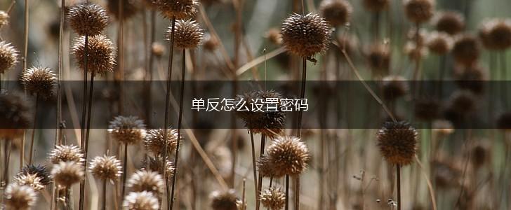 单反怎么设置密码,第1张