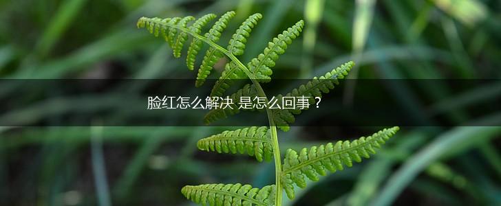 脸红怎么解决 是怎么回事？,第1张