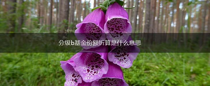 分级b基金份额折算是什么意思,第1张