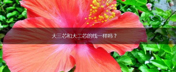 大三芯和大二芯的线一样吗？,第1张