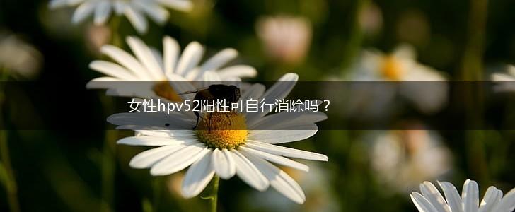女性hpv52阳性可自行消除吗？,第1张