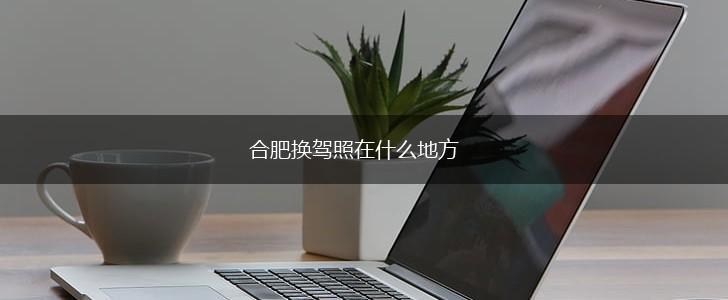 合肥换驾照在什么地方,第1张