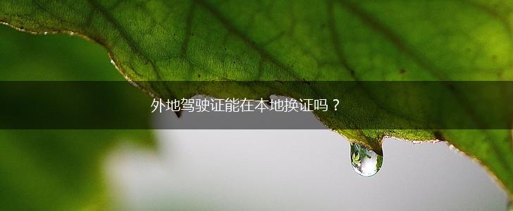 外地驾驶证能在本地换证吗?,第1张 外地驾驶证能在本地换证吗?,第1张