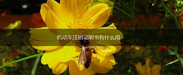 机动车注销证明书有什么用,第1张