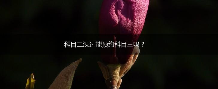 科目二没过能预约科目三吗？,第1张