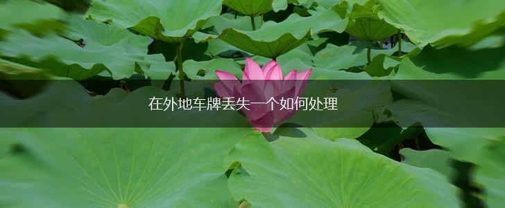 在外地车牌丢失一个如何处理,第1张