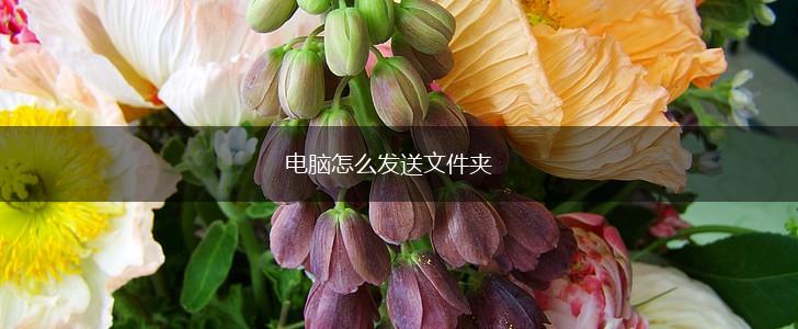 电脑怎么发送文件夹,第1张