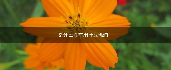 战速摩托车用什么机油,第1张