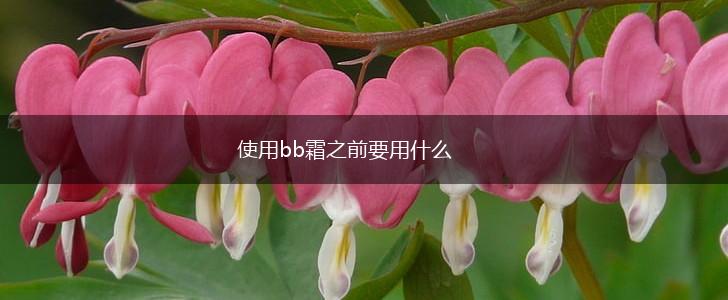 使用bb霜之前要用什么,第1张