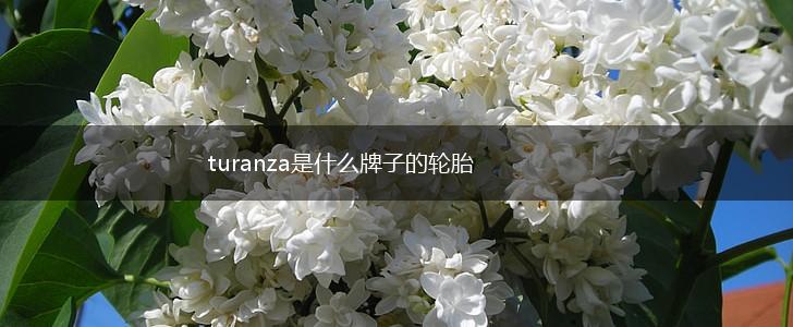 turanza是什么牌子的轮胎,第1张 turanza是什么牌子的轮胎,第1张