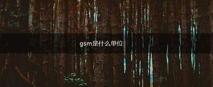 gsm是什么单位,第1张