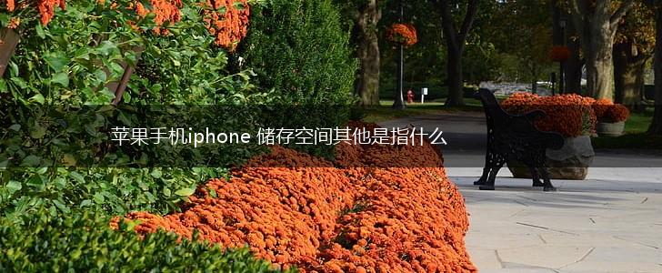 苹果手机iphone 储存空间其他是指什么,第1张