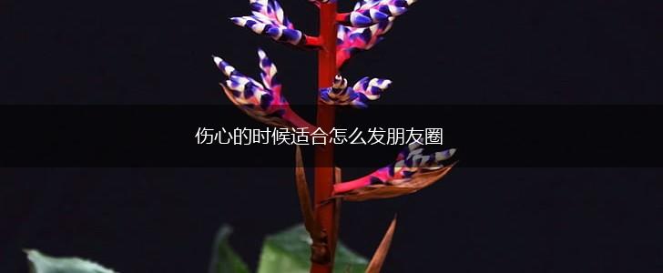 伤心的时候适合怎么发朋友圈,第1张 伤心的时候适合怎么发朋友圈,第1张