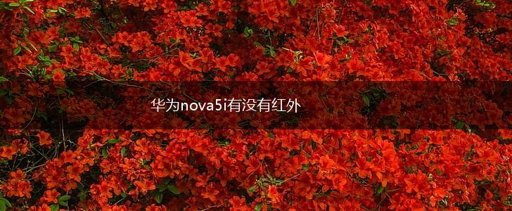 华为nova5i有没有红外,第1张